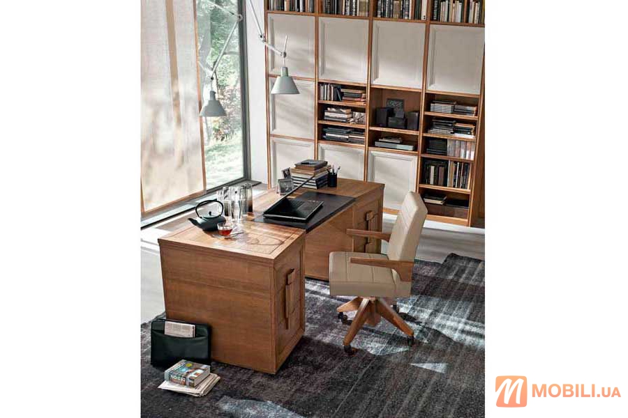 Комплект меблів в кабінет, в сучасному стилі TEA