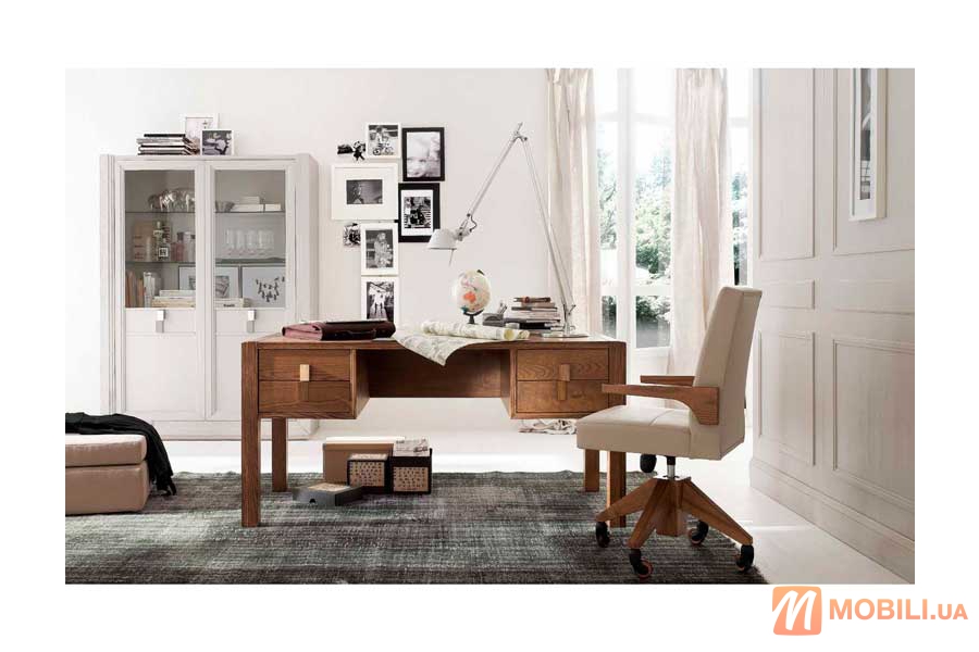 Комплект меблів в кабінет, в сучасному стилі TEA
