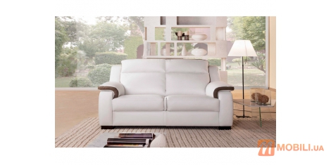 Двомісний диван в сучасному стилі PALMA