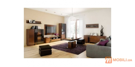 Меблі у вітальню в сучасному стилі VIGO