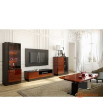 Комплект меблів у вітальню в сучасному стилі ELEGANTE