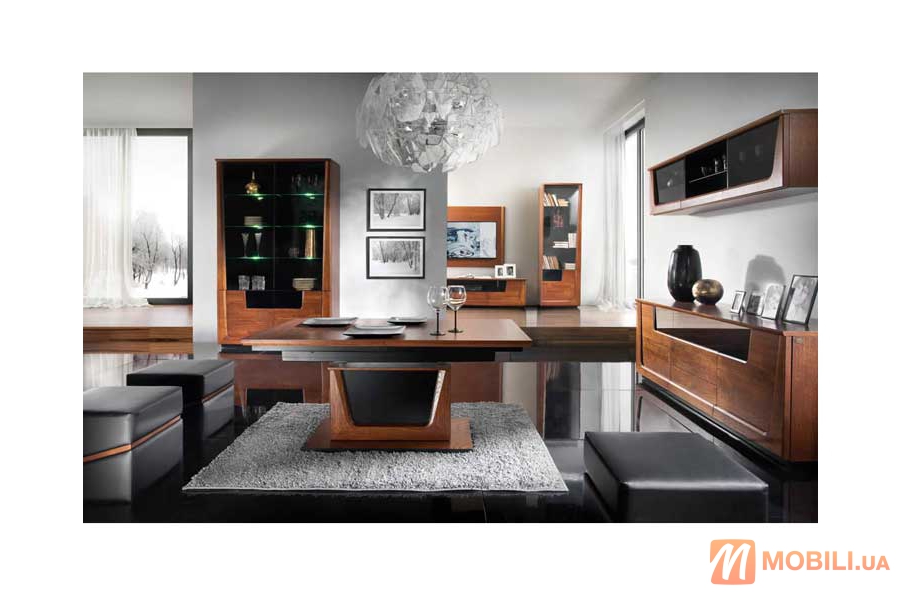 Меблі в столову кімнату, сучасний стиль MAGANDA